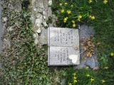 image of grave number 312049